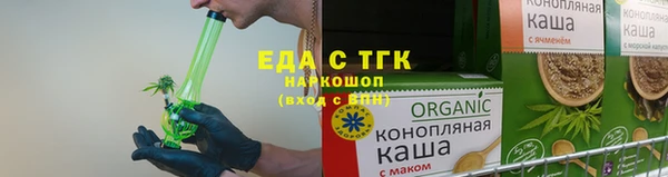 индика Новокубанск