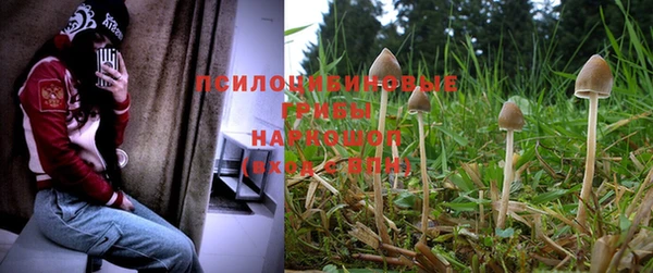 mix Алексеевка