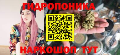 первитин Гусев