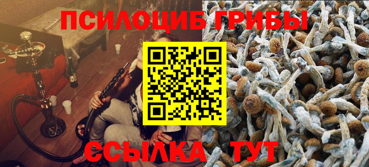 Псилоцибиновые грибы Cubensis  Вход с VPN  купить наркотик  Ставрополь 